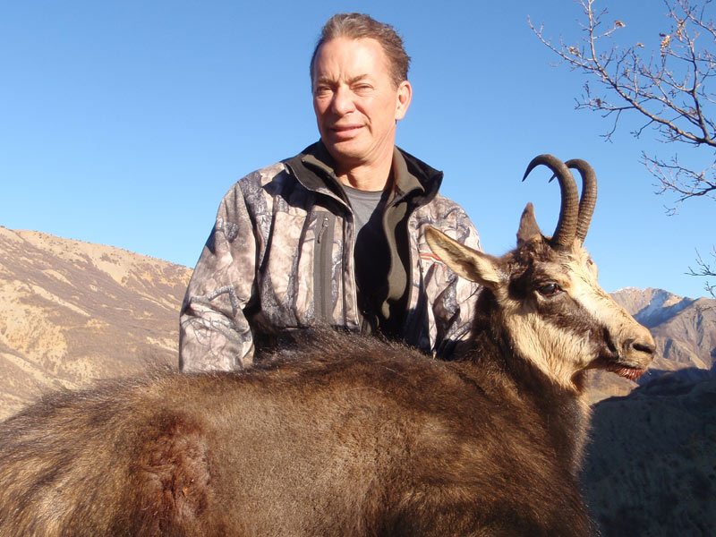 Anatolian Chamois  Tailored worldwide hunting packages in Turkey & across  the world